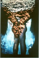 /album/metamorfose/foto-s-jpg/